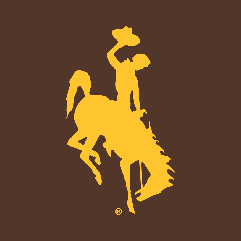 Wyoming Cowboys 2006-Pres Alternate Logo v2 DIY iron on transfer (heat transfer)